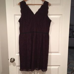 Loft lace cocktail dress